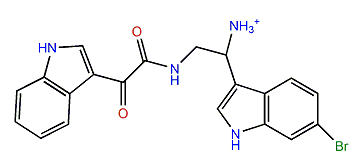 3,4-seco-6'-Debromohamacanthin B